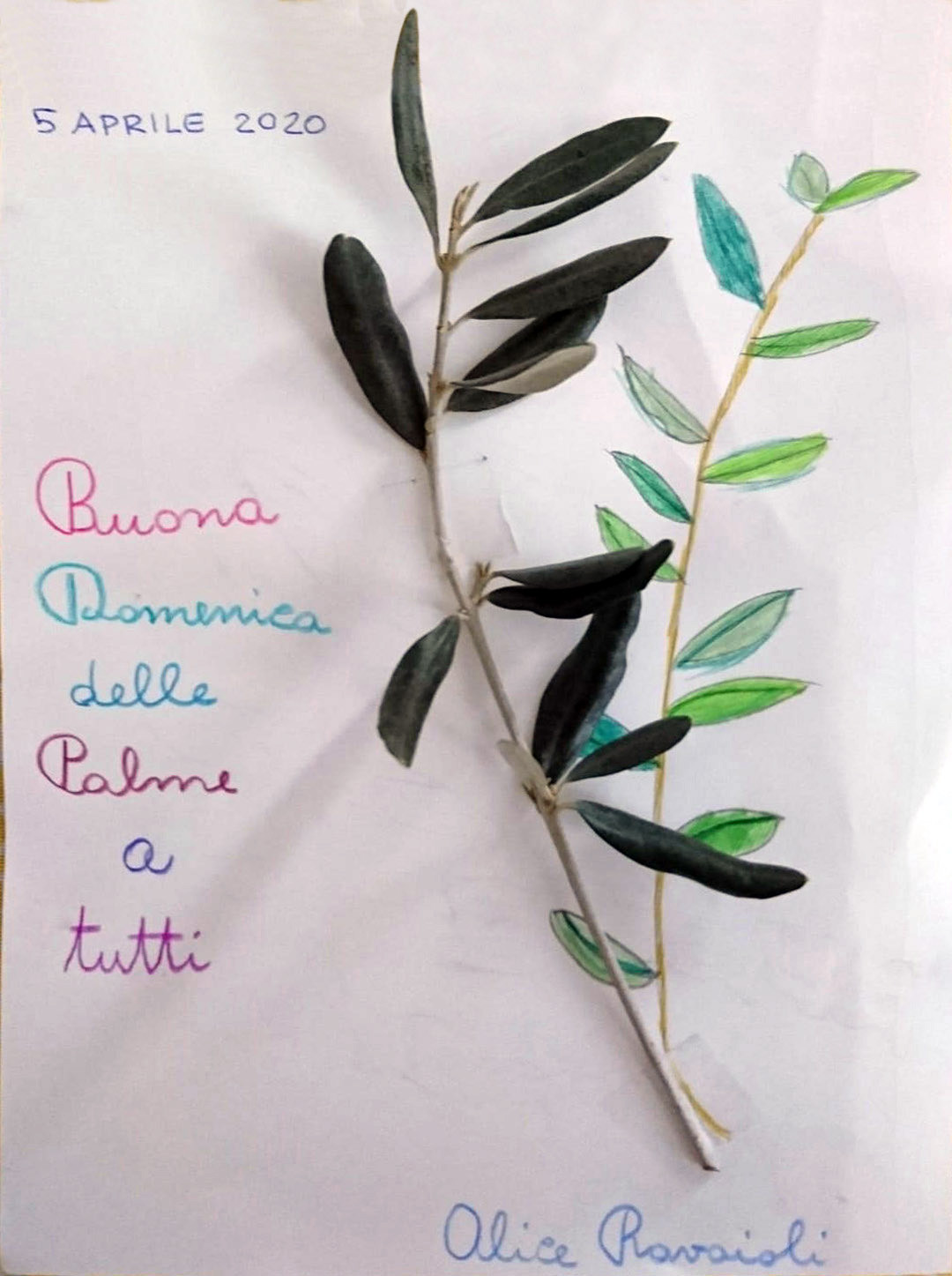 Alice ravaioli - Gruppo Cresima 1